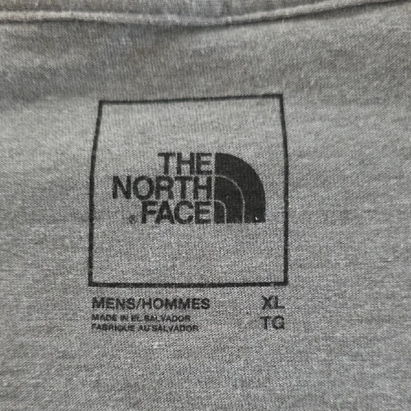 The North Face Gray Bear Graphic Tee - Picture 2 of 3